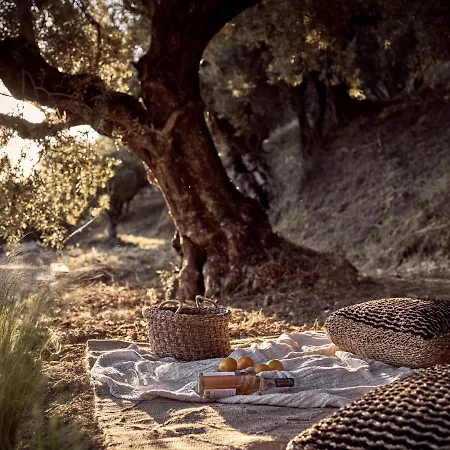 Alpha - A Leading Luxury Villa! * Akrotiri (Zakynthos)